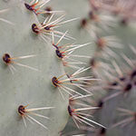 13_thumbs